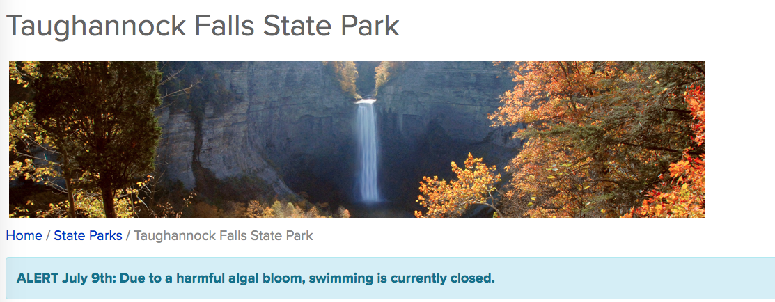 Taughannock Falls HAB page